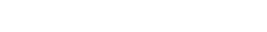 light logo